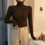 High-Necked Sweater Women 2025 Autumn And Winter Yangqi Inside A Knitted Bottom Shirt Long-Sleeved Cover Solid Color Top Women's Clothing
